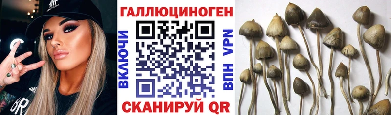 Галлюциногенные грибы Cubensis  где можно купить наркотик  Касли 
